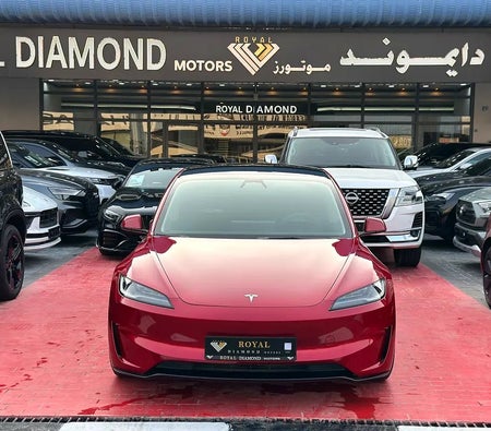 Tesla Model 3 Performance  2024, photo 2 of 4