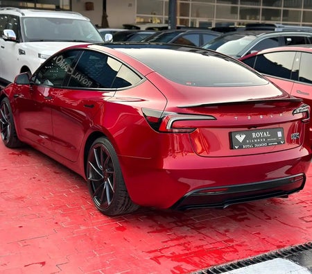 Tesla Model 3 Performance  2024, photo 4 of 4