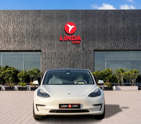 Tesla Model 3 Performance 2022, photo 2 of 4