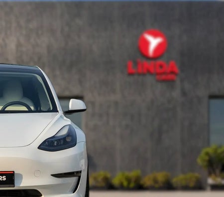 Tesla Model 3 Performance 2022, photo 3 of 4
