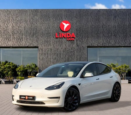 Tesla Model 3 Performance 2022, photo 1 of 4