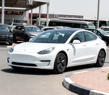 Tesla Model 3 Standard 2020, photo 2 of 4