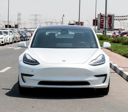 Tesla Model 3 Standard 2020, photo 3 of 4