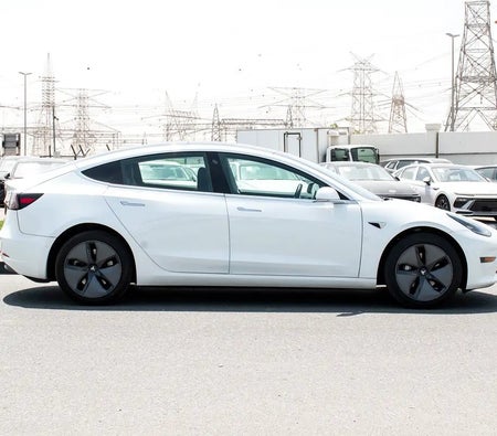 Tesla Model 3 Standard 2020, photo 4 of 4