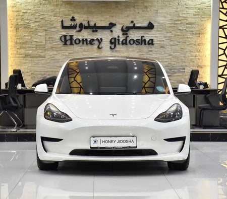 Blanco Tesla Model 3 Standard 2022 Blanco Tesla Model 3 Standard 2022