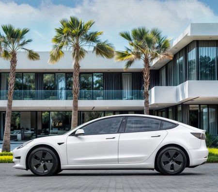 Белый Tesla Model 3 2021 год