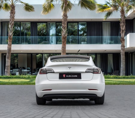 Белый Tesla Model 3 2021 год