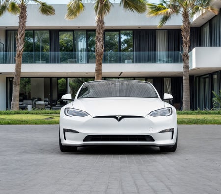 Tesla Model S Plaid 2023, photo 4 of 4