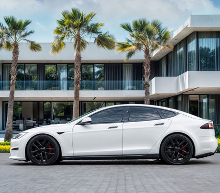 Tesla Model S Plaid 2023, photo 2 of 4
