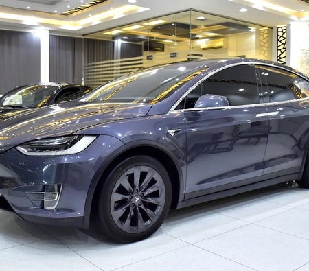 Tesla Model X 100D 2019, photo 3 of 4