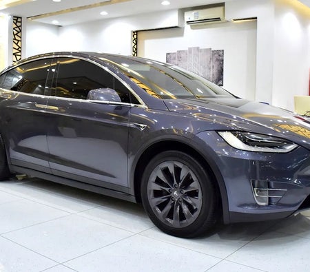 Tesla Model X 100D 2019, photo 4 of 4