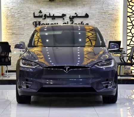 Tesla Model X 100D 2019, photo 2 of 4