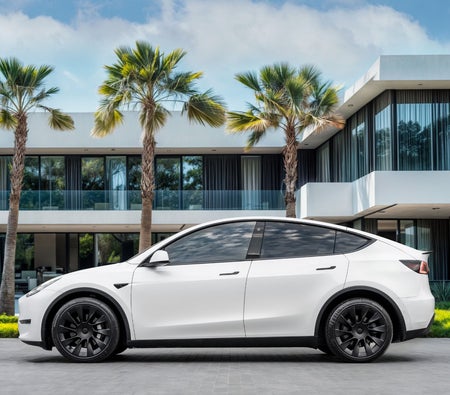 Tesla Model Y Long Range 2022, photo 2 of 4