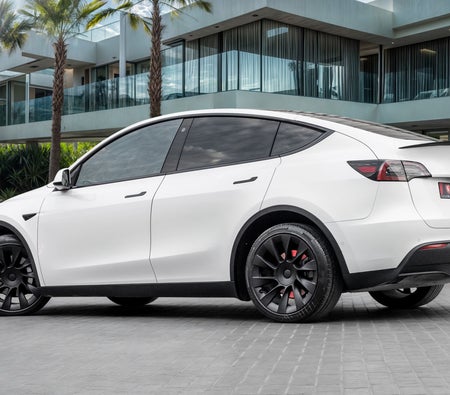Tesla Model Y Long Range 2022, photo 3 of 4