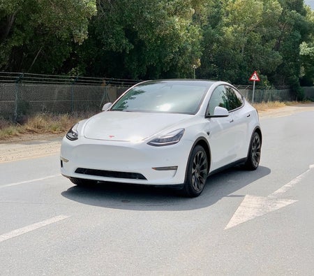 White Tesla Model Y Long Range 2021 White Tesla Model Y Long Range 2021