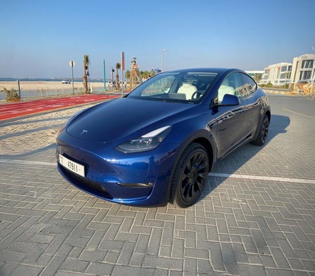Tesla Model Y Long Range 2022