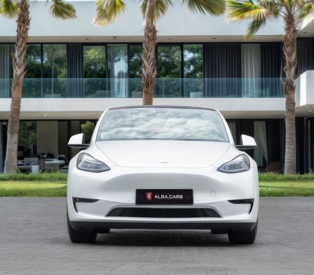 Bianca Tesla Model Y Long Range 2022