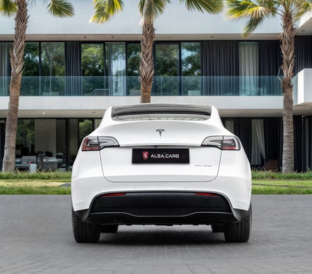 Bianca Tesla Model Y Long Range 2022