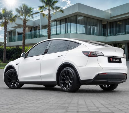 Bianca Tesla Model Y Long Range 2022
