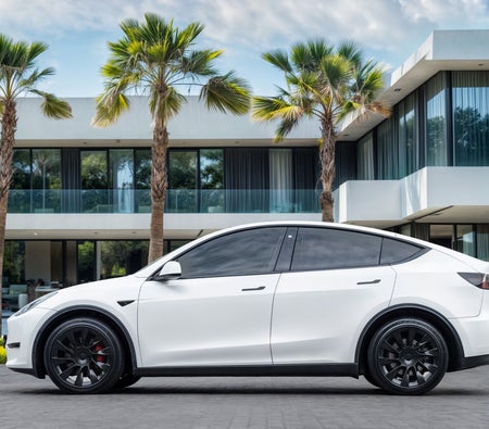 Bianca Tesla Model Y Long Range 2022