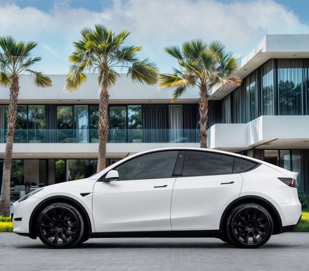 Tesla Model Y Long Range 2022, photo 3 of 4