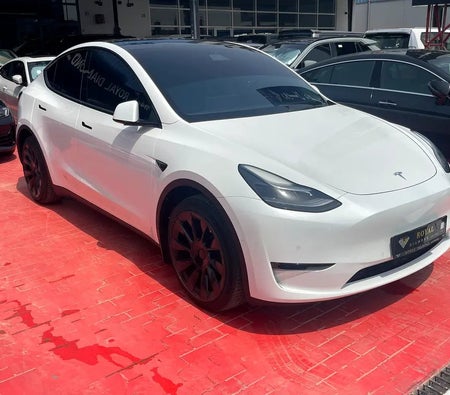 Tesla Model Y Long Range  2023, photo 3 of 4