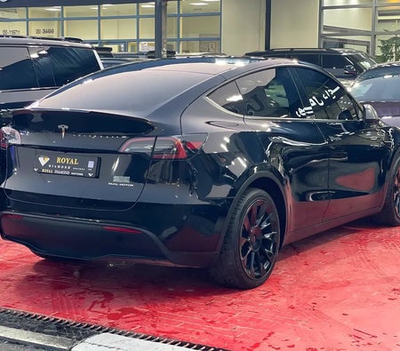 Tesla Model Y Long Range  2024, photo 4 of 4