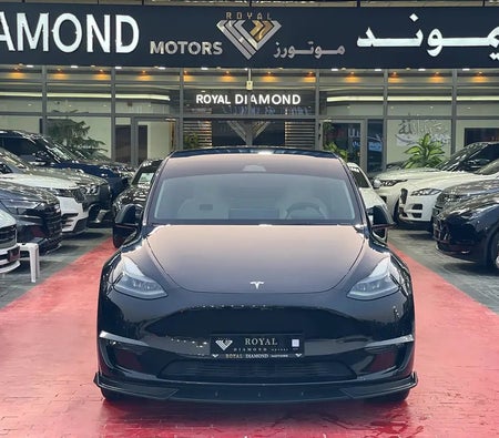 Tesla Model Y Long Range  2024, photo 2 of 4