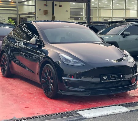 Tesla Model Y Long Range  2024, photo 3 of 4
