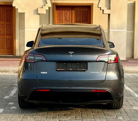 Tesla Model Y Long Range 2022, photo 4 of 4
