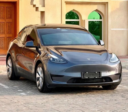 Tesla Model Y Long Range 2022, photo 1 of 4