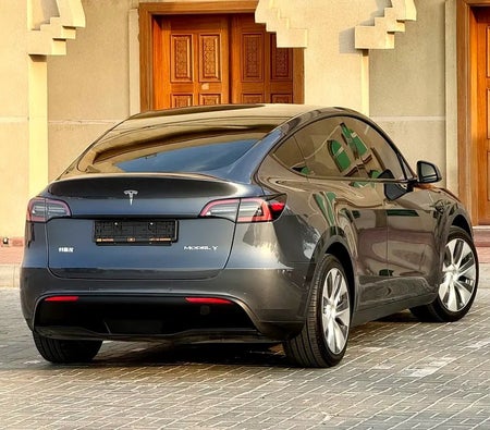 Tesla Model Y Long Range 2022, photo 3 of 4