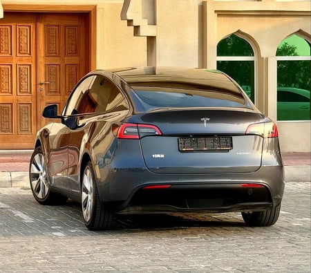 Gray Tesla Model Y Long Range 2022