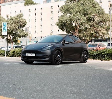 Tesla Model Y Performance 2023