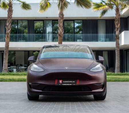 Tesla Model Y Performance 2023, photo 4 of 4