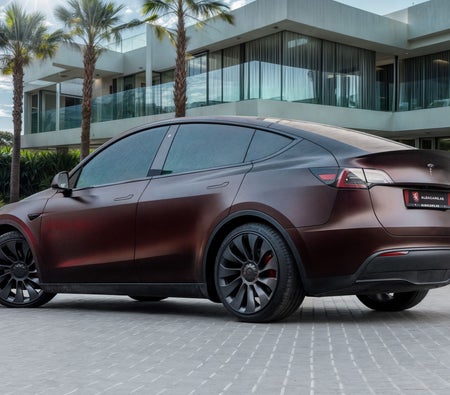 Tesla Model Y Performance 2023, photo 3 of 4