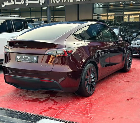 Tesla Model Y Performance  2024, photo 4 of 4