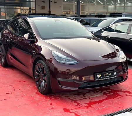 Tesla Model Y Performance  2024, photo 3 of 4
