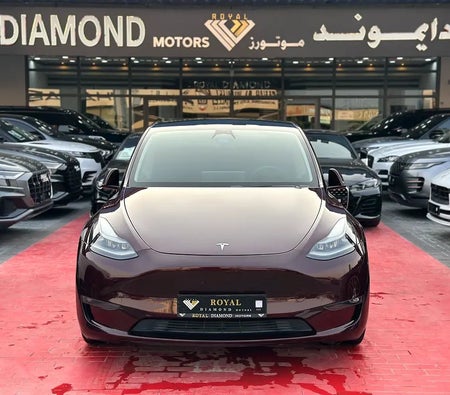 Tesla Model Y Performance  2024, photo 2 of 4