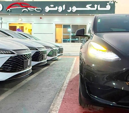 تسلا Model Y Standard 2022, photo 3 of 4