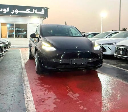 تسلا Model Y Standard 2022, photo 2 of 4