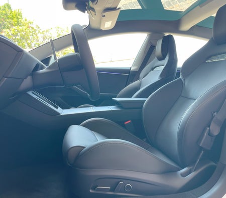 Tesla Model 3 Performance 2024