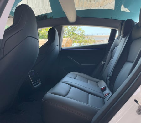 Tesla Model 3 Performance 2024