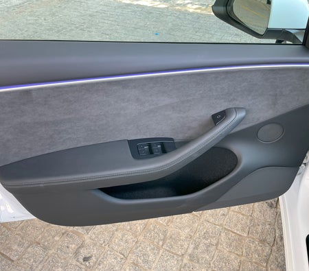 Tesla Model 3 Performance 2024