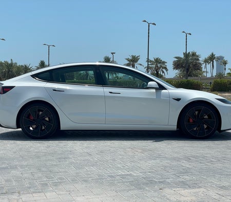Tesla Model 3 Performance 2024