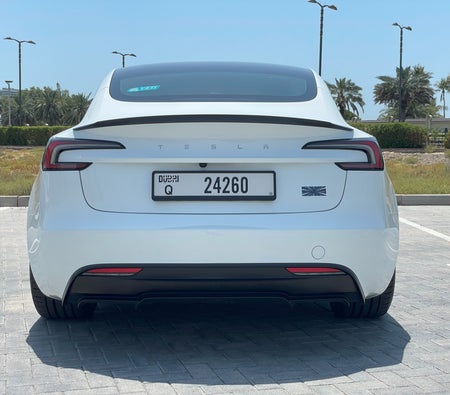 Tesla Model 3 Performance 2024