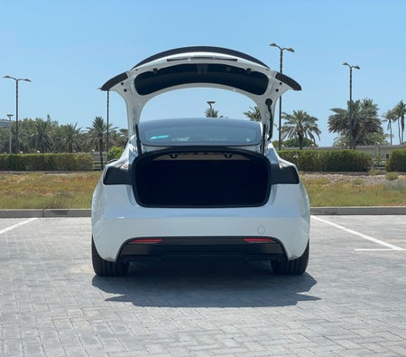 Tesla Model 3 Performance 2024