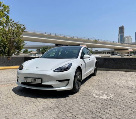 Blanc Tesla Model 3 Standard Plus 2022 Blanc Tesla Model 3 Standard Plus 2022
