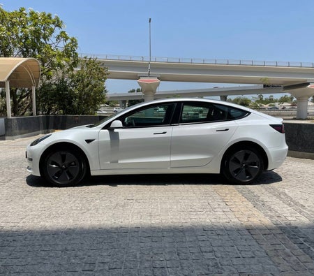 Blanc Tesla Model 3 Standard Plus 2022 Blanc Tesla Model 3 Standard Plus 2022