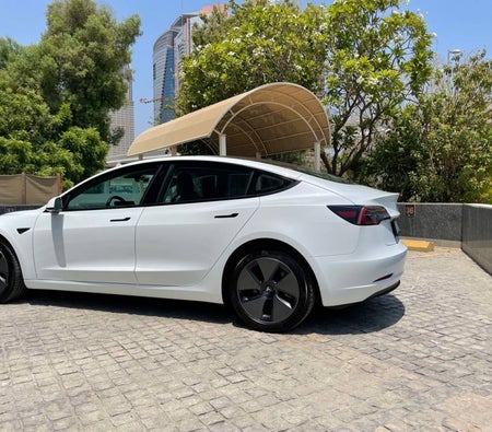 Blanc Tesla Model 3 Standard Plus 2022 Blanc Tesla Model 3 Standard Plus 2022